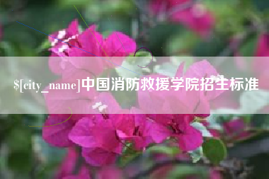 三沙中国消防救援学院招生标准