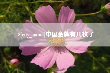 三沙中国金牌有几枚了