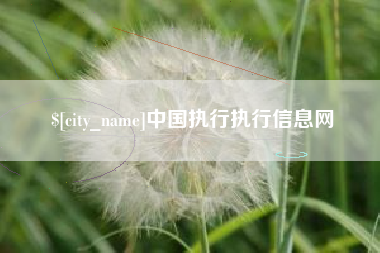 三沙中国执行执行信息网