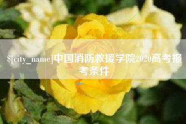 三沙中国消防救援学院2020高考报考条件