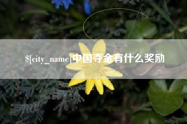 三沙中国夺金有什么奖励