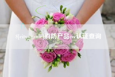 三沙消防产品ccc认证查询
