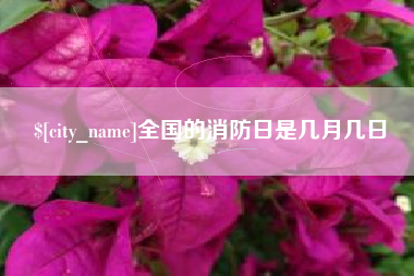 三沙全国的消防日是几月几日