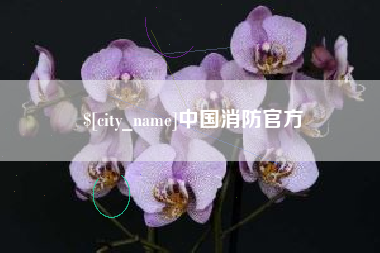 三沙中国消防官方