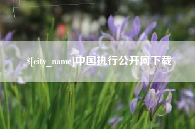 三沙中国执行公开网下载