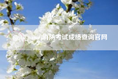 三沙消防考试成绩查询官网