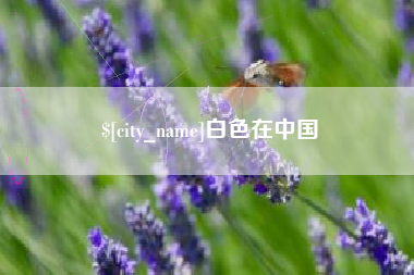 三沙白色在中国