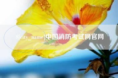 三沙中国消防考试网官网