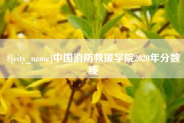 三沙中国消防救援学院2020年分数线