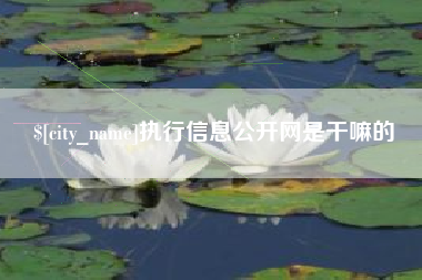 三沙执行信息公开网是干嘛的