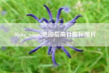 三沙地图指南针图标图片