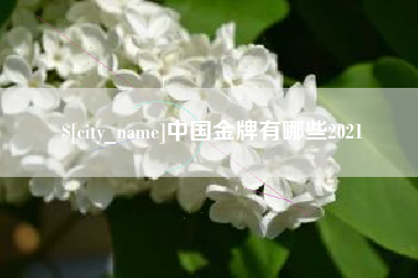 三沙中国金牌有哪些2021
