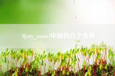 三沙中国的几个金牌