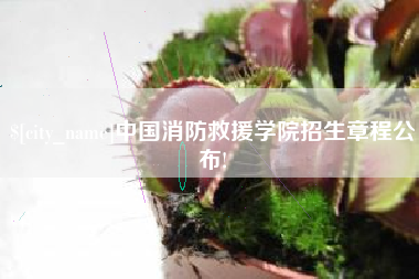 三沙中国消防救援学院招生章程公布!