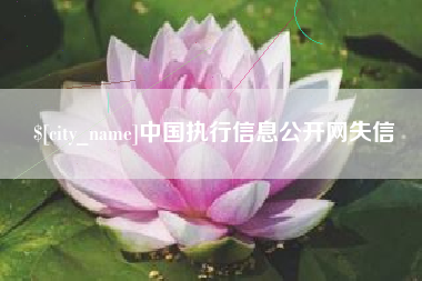三沙中国执行信息公开网失信