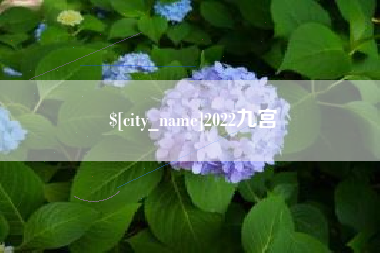 三沙2022九宫