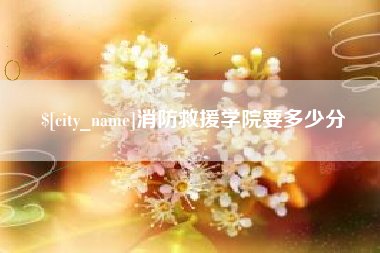 三沙消防救援学院要多少分