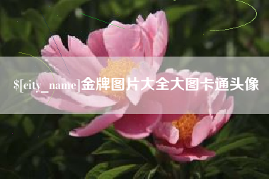 三沙金牌图片大全大图卡通头像