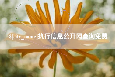 三沙执行信息公开网查询免费