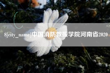 三沙中国消防救援学院河南省2020